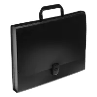 Папка-портфель А4, 12 отделений, 600 мкм, ErichKrause Matt Classic, до 350 листов, чёрная