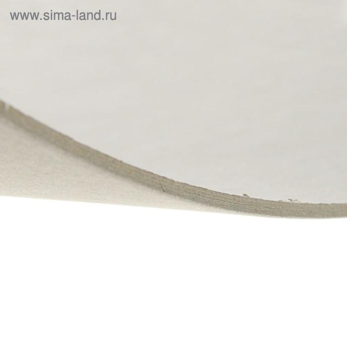 Картон переплётный 3.0 мм, 30 х 40 см, 10 листов, 1900 г/м², серый Картон переплётный 3.0 мм, 30 х 40 см, 10 листов, 1900 г/м², серый