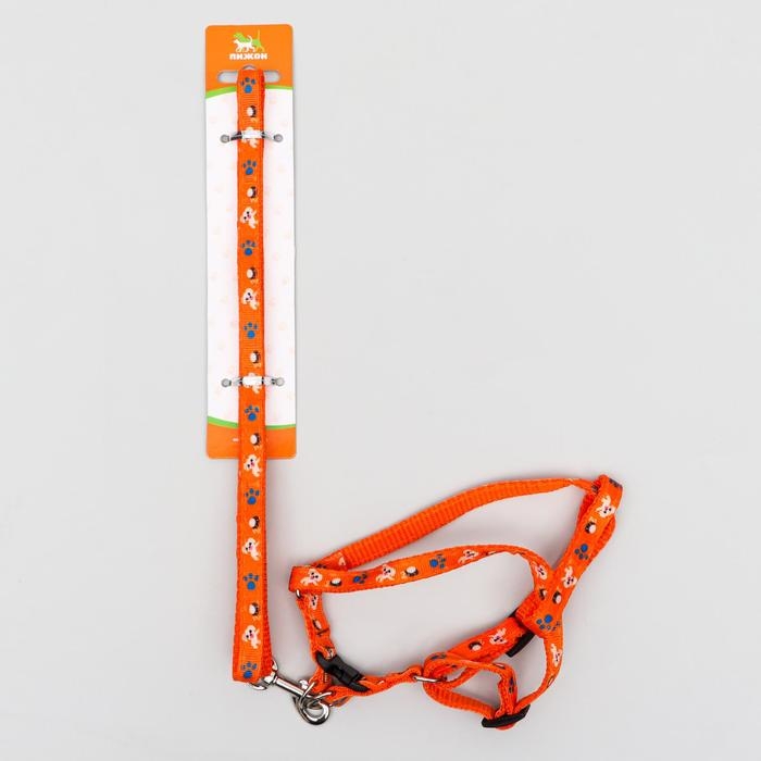 Комплект амуниции Комплект амуниции "Собачки", поводок 120 х 1 см, ОГ 27-42 см, оранжевый