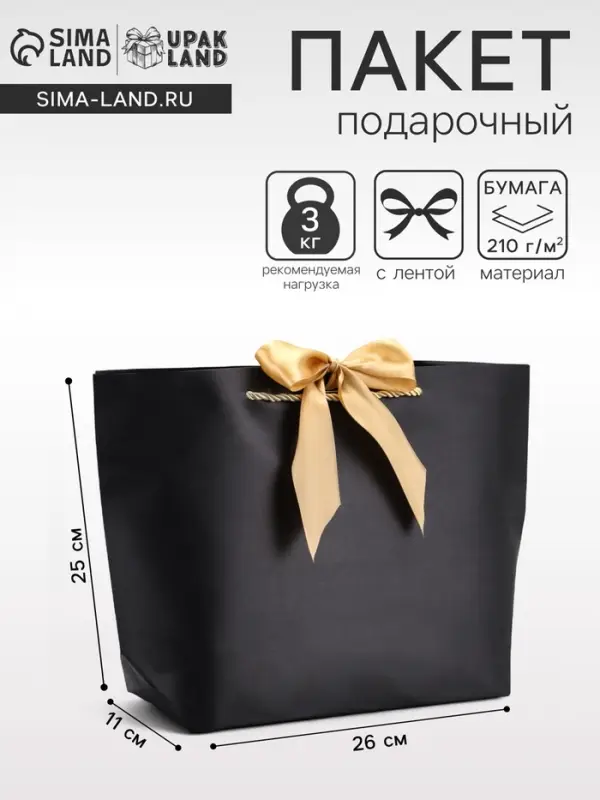 Пакет подарочный ламинированный, с лентой &laquo;Чёрный&raquo;, горизонтальный, 26&times;25&times;11 см