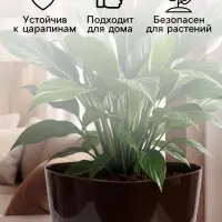 Горшок для цветов &laquo;Элеганс&raquo;, 3 л, d=19.3 см, h=16.7 см, пластиковый, с прикорневым поливом, цвет шоколад