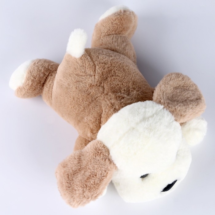 Мягкая игрушка «Собачка», 22 см, цвет бежевый Мягкая игрушка «Собачка», 22 см, цвет бежевый