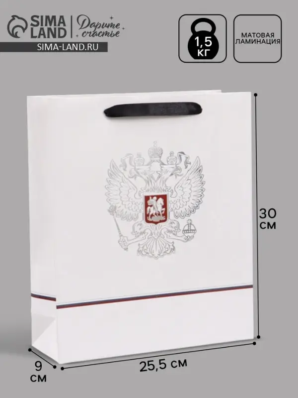 Пакет подарочный &laquo;Россия&raquo;, 25.5&times;30&times;9 см