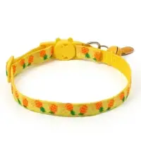 Набор ошейников для кошек &laquo;Пижон. Фрукты&raquo;, 19-32&times;1 см, 4 шт.