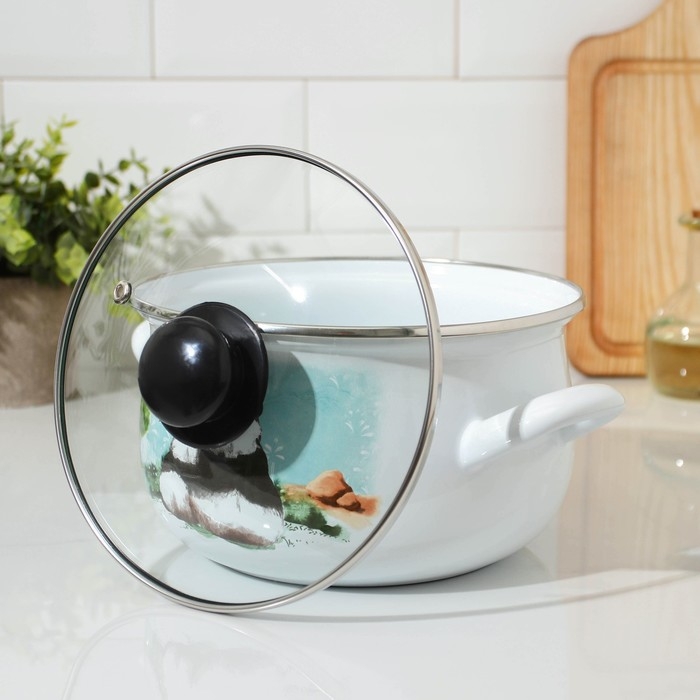 Кастрюля эмалированная «Панды», 3,1 л, стеклянная крышка, индукция Кастрюля эмалированная «Панды», 3,1 л, стеклянная крышка, индукция