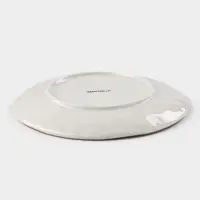 Тарелка Доляна &laquo;Космос&raquo;, d=21.2 см, фарфор, белая, синяя