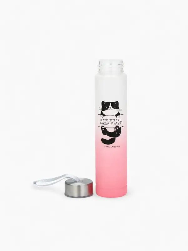 Бутылка для воды пластиковая &laquo;Котя&raquo;, 300 мл