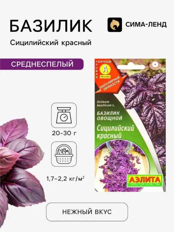 Семена Базилик овощной &laquo;Сицилийский красный&raquo;, 0.1 г, &laquo;Аэлита&raquo;