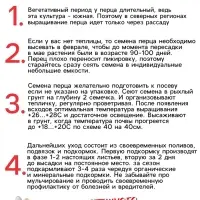 Семена Перец "Подарок Молдовы", 0,1 г