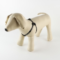 Комплект Security dog, шлейка 26-39 см, поводок 120х1 см