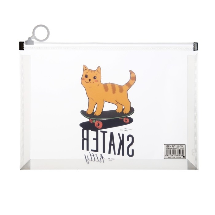 Папка-конверт на молнии формат А5, 180мкр, с рисунком Папка-конверт на молнии формат А5, 180мкр, с рисунком "Звери на скейтборде и сноуборде", МИКС