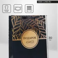 Пакет подарочный вертикальный &laquo;Подарок&raquo;, M, 25.5&times;30&times;9 см