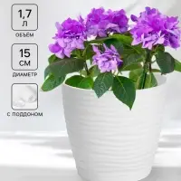 Горшок для цветов с поддоном &laquo;Дюна&raquo;, 1.7 л, пластиковый, белый