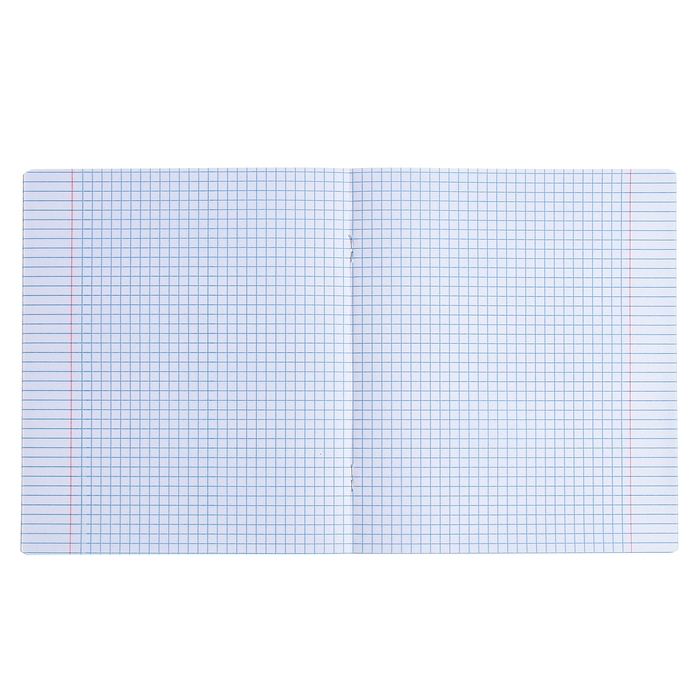 Тетрадь 48л кл Котики-артисты, обл мел карт, скругл угл, бл 65г/м2, МИКС