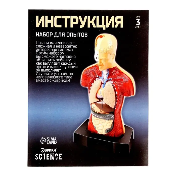 Научный опыт &laquo;Строение тела&raquo;