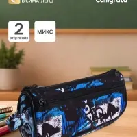 Пенал школьный на молнии Calligrata &laquo;Спорт&raquo;, 2 отделения, с принтом, текстиль, МИКС