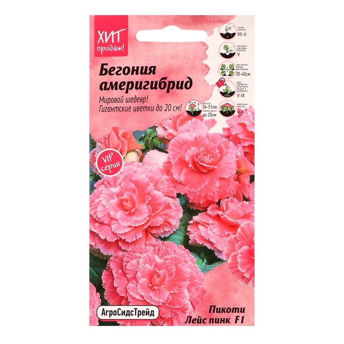 Семена цветов Бегония  Семена цветов Бегония "Америгибрид Пикоти Лейс Пинк F1", 5 шт