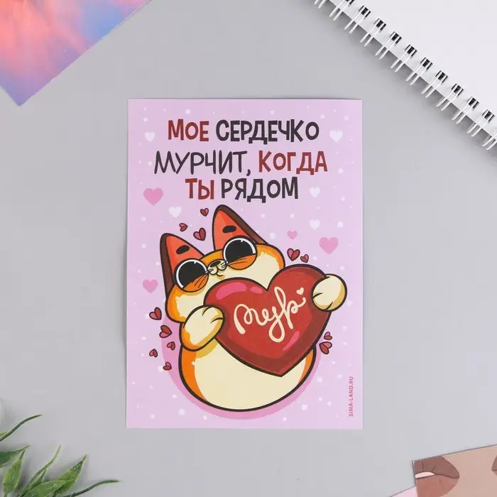 Открытка, сертификат с лентой «Мое сердечко мурчит когда ты рядом», 10×14 см Открытка, сертификат с лентой «Мое сердечко мурчит когда ты рядом», 10×14 см