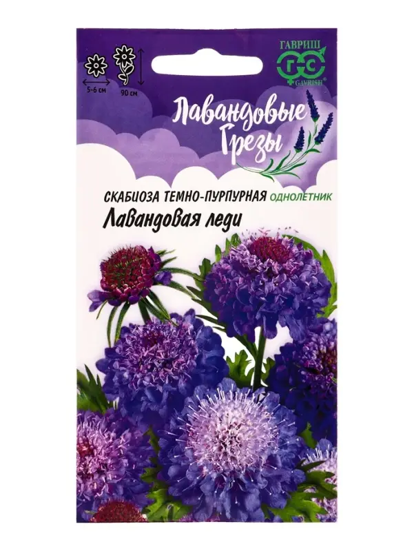 Семена цветов Скабиоза пурпурная Лавандовая леди, махр. 0,2 г  Серия Лавандовые грёзы DH