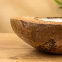 Свеча в кокосе, 18×22×7 см, коричневая