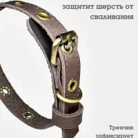 Ошейник безразмерный, 35&times;1.5 см, с подпряжником, кожа, коричневый