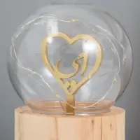 Фигурка светящаяся RISALUX &laquo;Сердце&raquo;, LED-ночник, 3&times;AG10, шар-8 см, 6.5&times;6.5&times;11.5 см