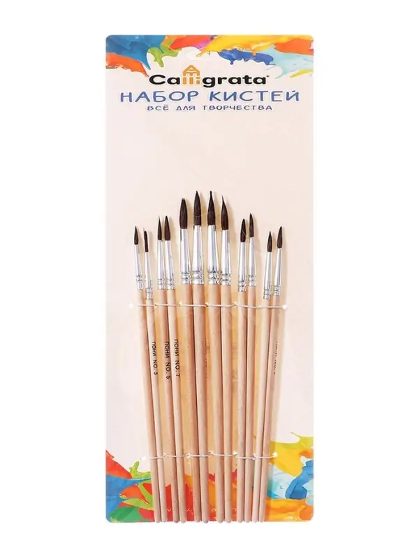 Набор кистей для рисования, пони, 12 штук: № 1, 2, 3, 4, 5, 6, 7, 8, 9, 10, 11, 12, круглые, деревянная ручка, международный размер