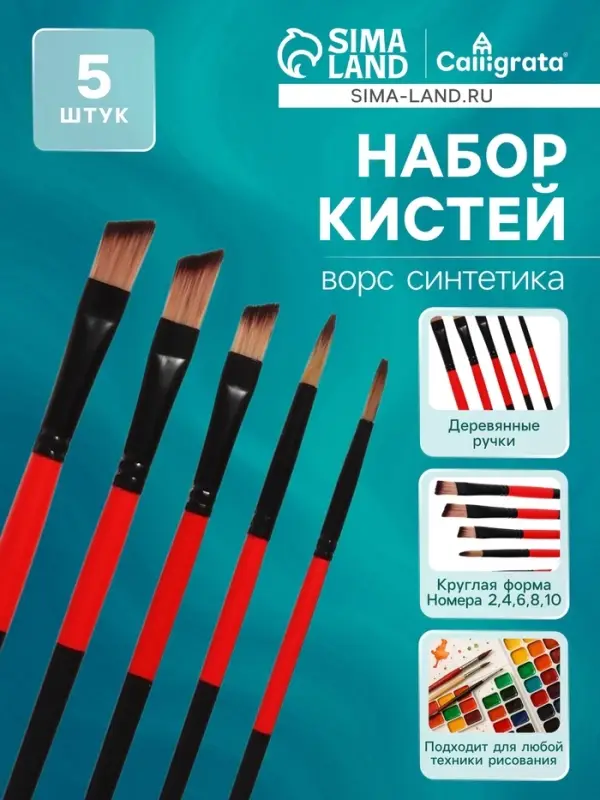 Набор кистей для рисования, нейлон, 5 штук, круглые, плоские, международный размер