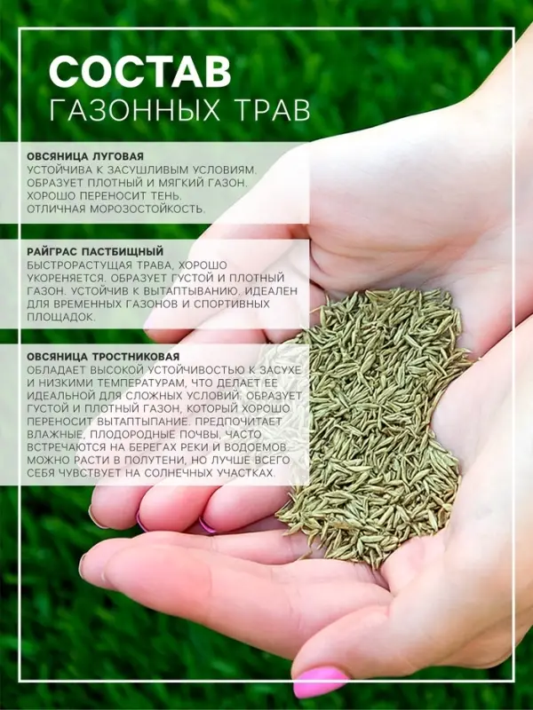 Газонная травосмесь &laquo;Гном&raquo;, 750 г