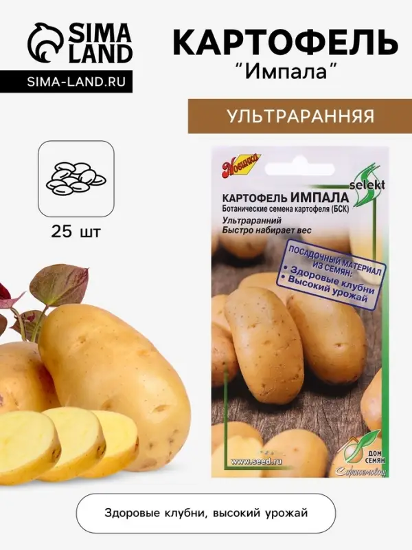 Семена Картофель &laquo;Импала&raquo;, 25 шт., &laquo;Дом семян&raquo;