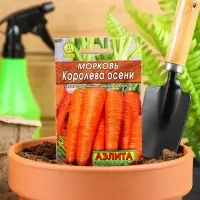 Семена Морковь &laquo;Королева осени&raquo;, 2 г, &laquo;Аэлита&raquo;