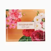 Пакет подарочный горизонтальный &laquo;Поздравляю от всей души&raquo;, 49&times;40&times;19 см