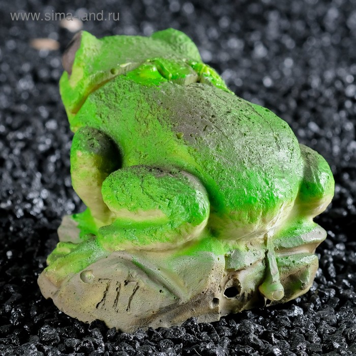 Распылитель Распылитель "Лягушка", 10 х 8 х 7 см