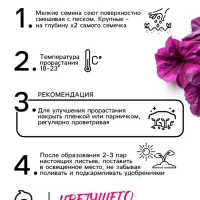 Семена цветов Петуния &laquo;Мамбо&raquo; F1 фиолетовая многоцветковая, 7 шт., однолетник, &laquo;Аэлита&raquo;