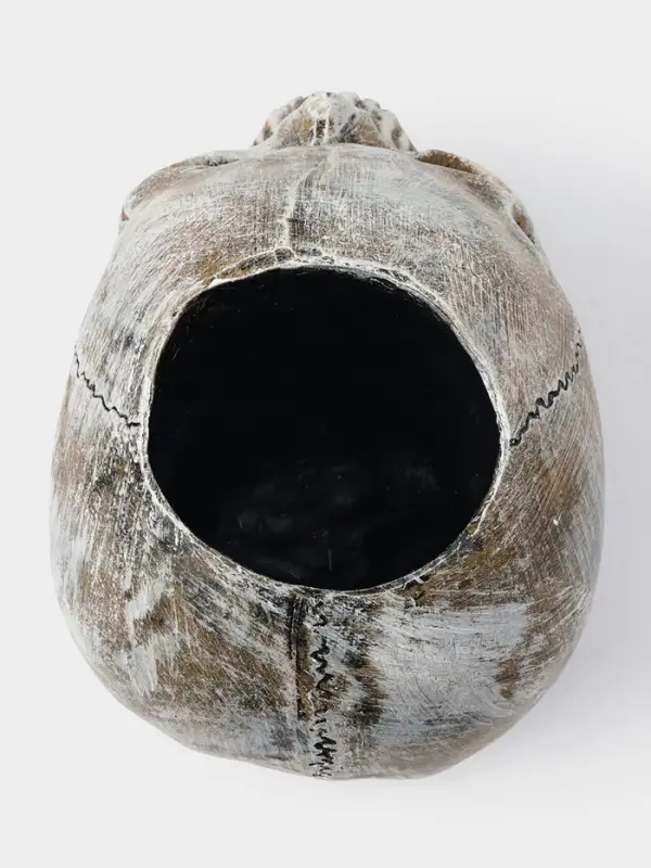 Ёршик для унитаза с подставкой &laquo;Череп&raquo;, стальная ручка, 16&times;15&times;22 см, белый