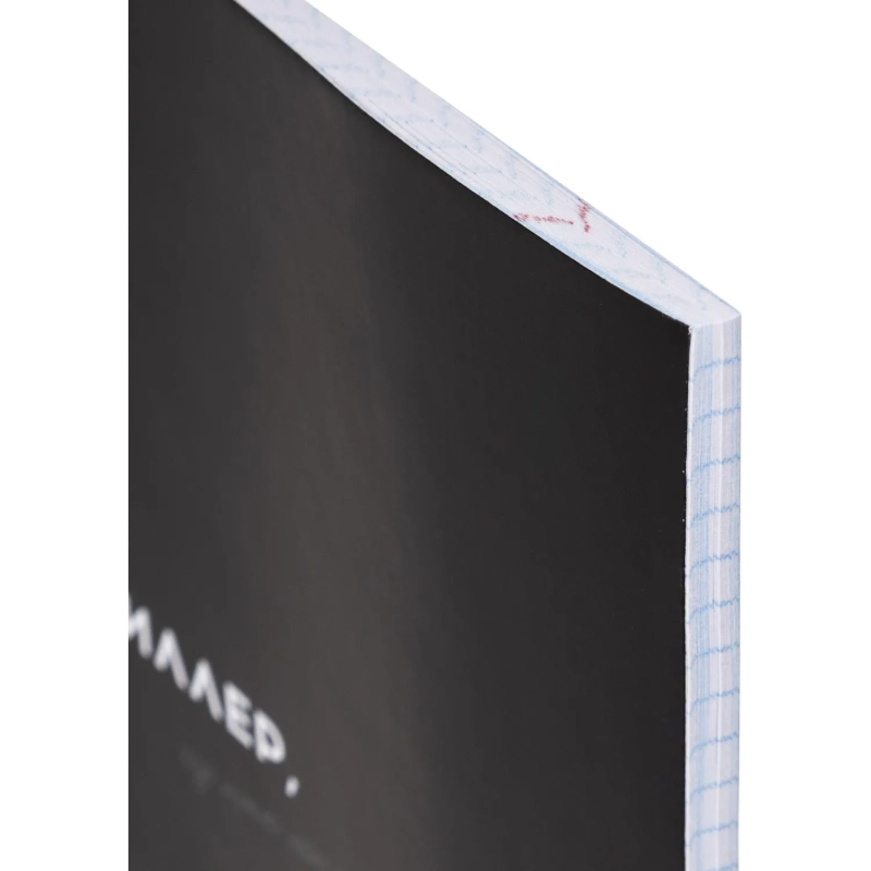 Тетрадь КЛЕТКА 48л. АЛГЕБРА 'ОСТРОУМИЕ И ОТВАГА', 48-2398