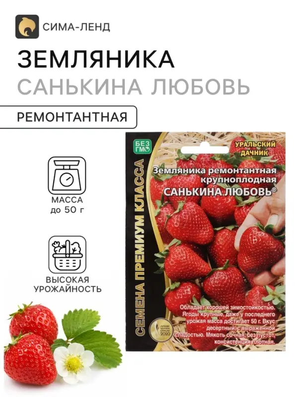 Семена Земляника ремонтантная &laquo;Санькина любовь&raquo;, крупноплодная, 6 шт.