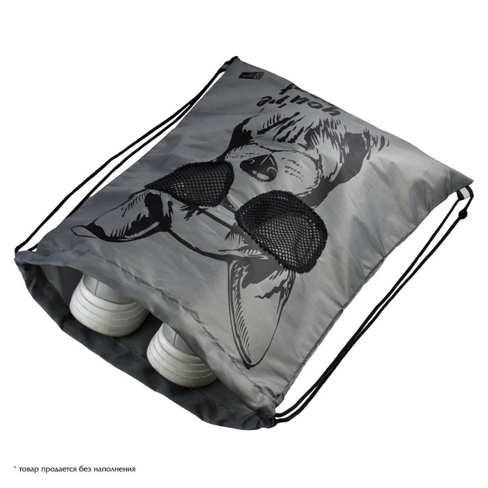 Мешок для обуви 480 х 360 мм, Феникс, шелкография, сетка,  Мешок для обуви 480 х 360 мм, Феникс, шелкография, сетка, "Собака в очках"