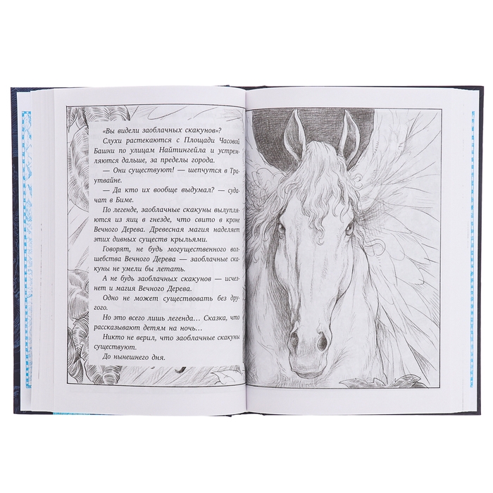 Хроники небесных лошадок. Стражники магии. Ридделл К. Хроники небесных лошадок. Стражники магии. Ридделл К.