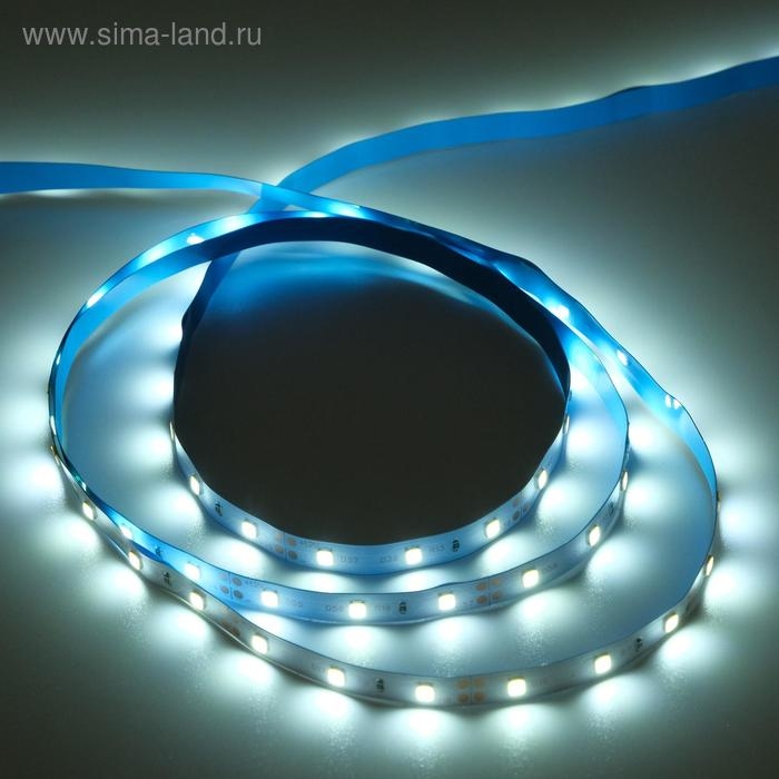 Светодиодная лента Ecola STD 5 м, IP20, SMD3528, 60 LED/м, 4.8 Вт/м, 12 В, 6000К Светодиодная лента Ecola STD 5 м, IP20, SMD3528, 60 LED/м, 4.8 Вт/м, 12 В, 6000К