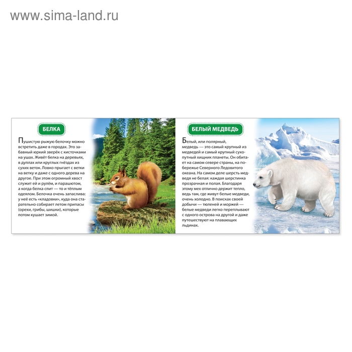 Обучающие книжки набор 6 шт. «Узнаём про всё вокруг», 108 животных и птиц Обучающие книжки набор 6 шт. «Узнаём про всё вокруг», 108 животных и птиц