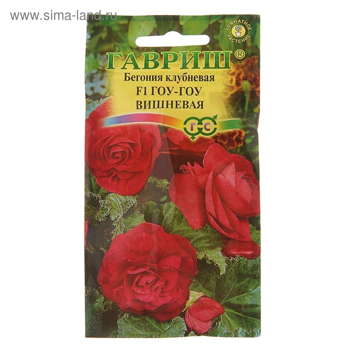 Семена комнатных цветов Бегония  Семена комнатных цветов Бегония "Гоу-гоу", ц/п,  вишневая, F1, 4 шт.