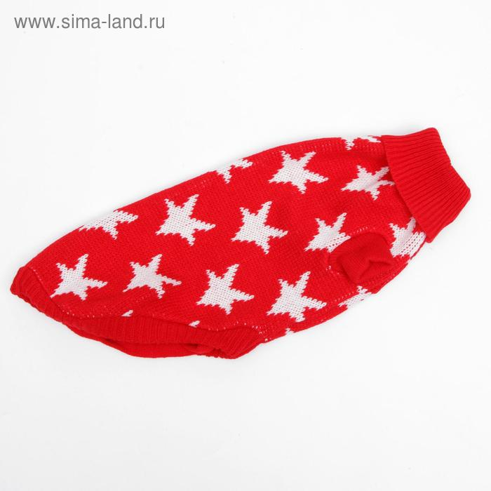 Свитер, размер 18 (ДС 50-65, ОШ 22-37, ОГ 38-53 см), микс расцветок Свитер, размер 18 (ДС 50-65, ОШ 22-37, ОГ 38-53 см), микс расцветок