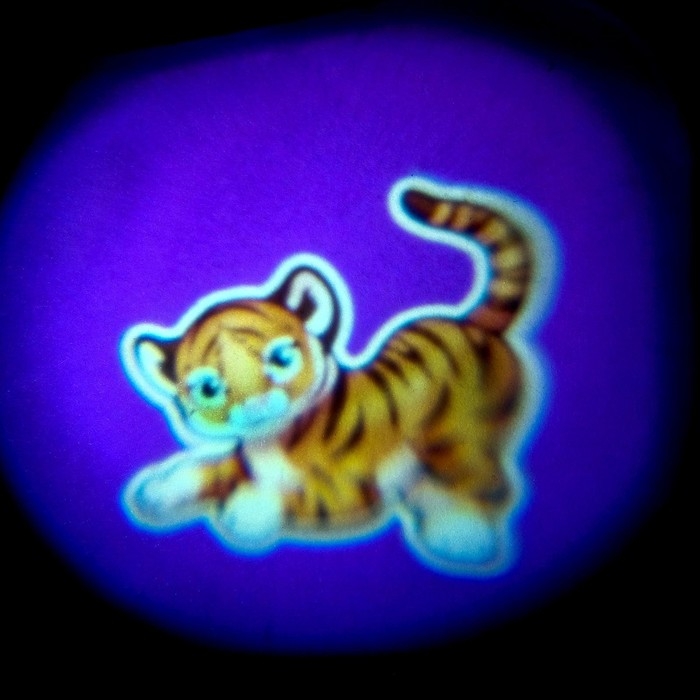 Проектор-фонарик «Мир животных», 3 слайда, 24 картинки Проектор-фонарик «Мир животных», 3 слайда, 24 картинки