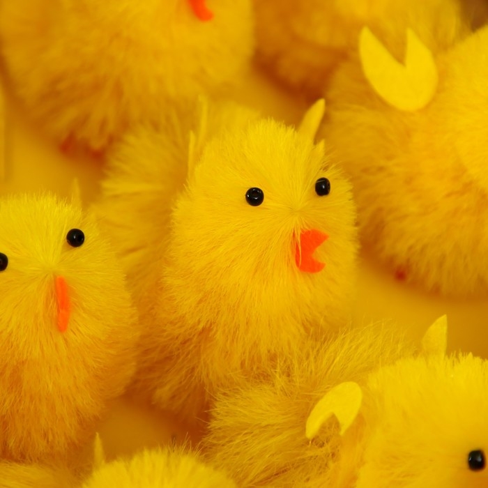 Сувенир пасхальный "Цыпа пушистая" набор 15 шт 7,5х5х5 см