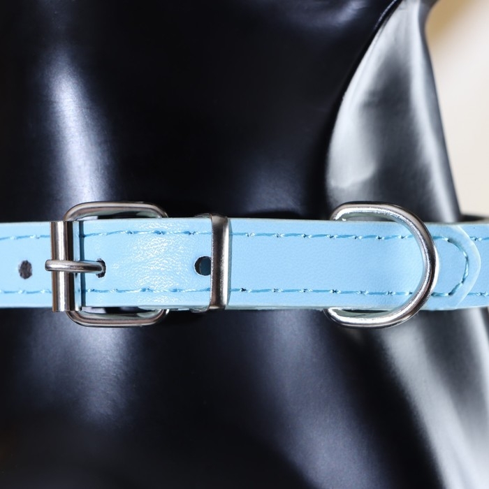 Ошейник Ошейник "Корона" с металлическим декором и со стразами, 36 х 1,4 см, ОШ 24-31, голубой