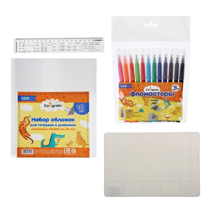 Набор первоклассника  Набор первоклассника "Луч", 60 предметов