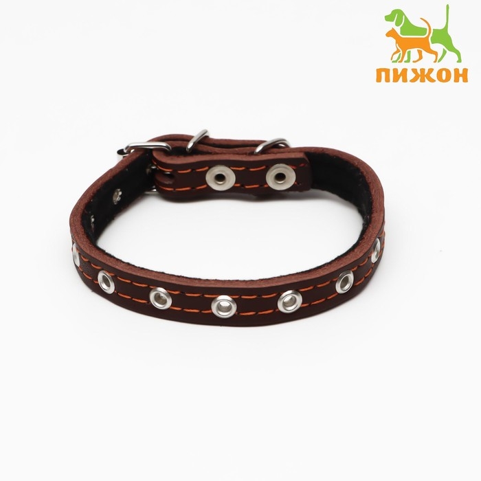 Ошейник кожаный на синтепоне, безразмерный, 37 х 1.5 см, ОШ 21-31 см, коричневый Ошейник кожаный на синтепоне, безразмерный, 37 х 1.5 см, ОШ 21-31 см, коричневый