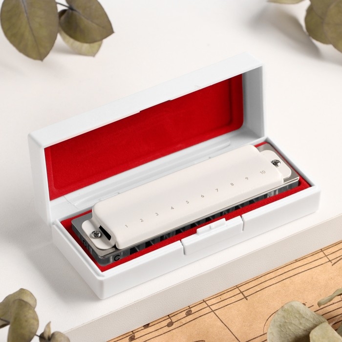 Губная гармошка Music Life T008L  C диатоническая, 10 отверстий, с футляром Губная гармошка Music Life T008L  C диатоническая, 10 отверстий, с футляром