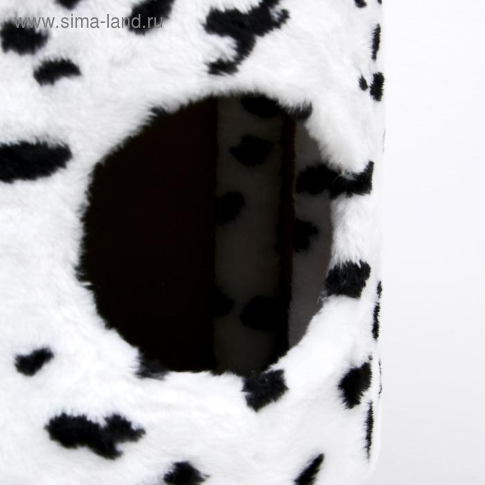 Домик для кошек с когтеточкой "Круглый с площадкой", 52 х 52 х 95 см, далматинец